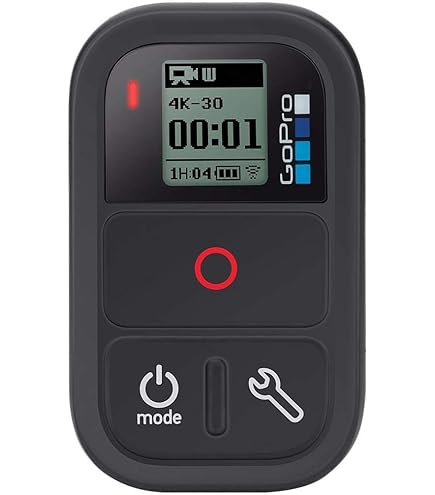 Amazon.com : GoPro The Remote - Official GoPro Accessory : Electronics